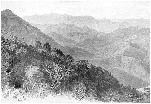 View toward the Northwest from Sierra de Huehuerachi.